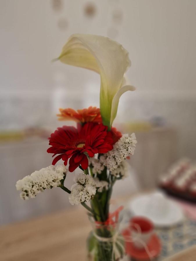 Surbo B&B Tre Sorelle المظهر الخارجي الصورة